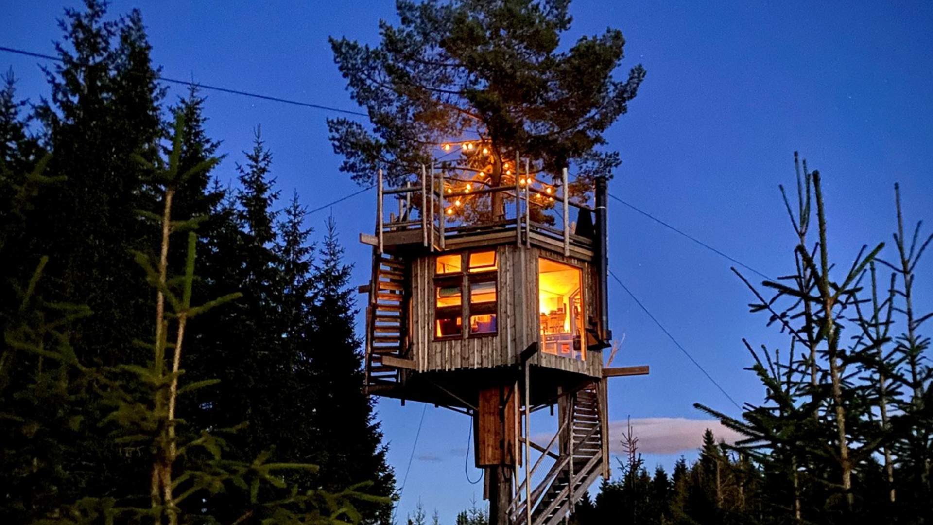 Tree top cabins in Brumunddal