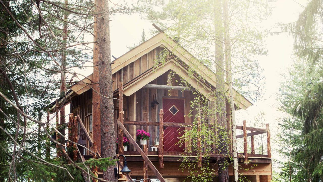 Tree top cabins in Brumunddal