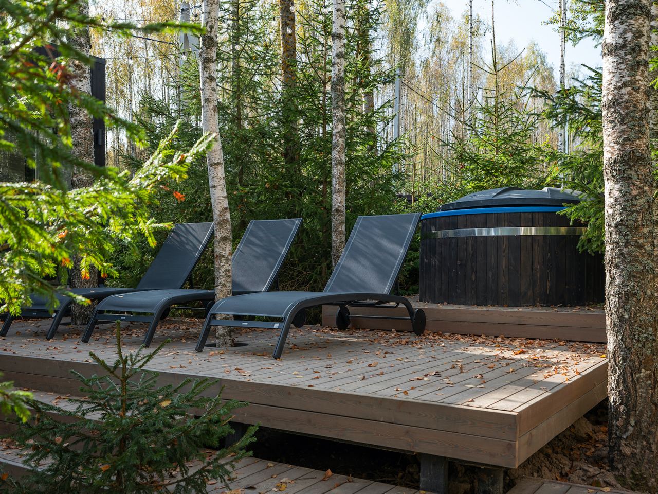 ДубльДом у Заповедника