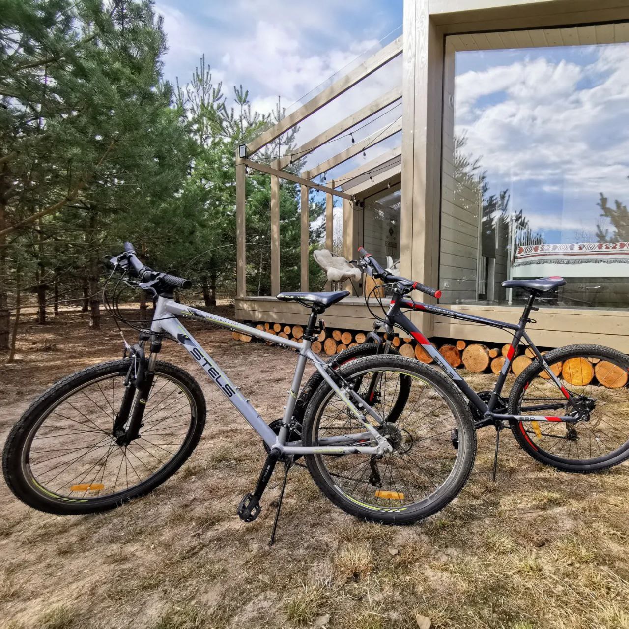 Дача в соснах