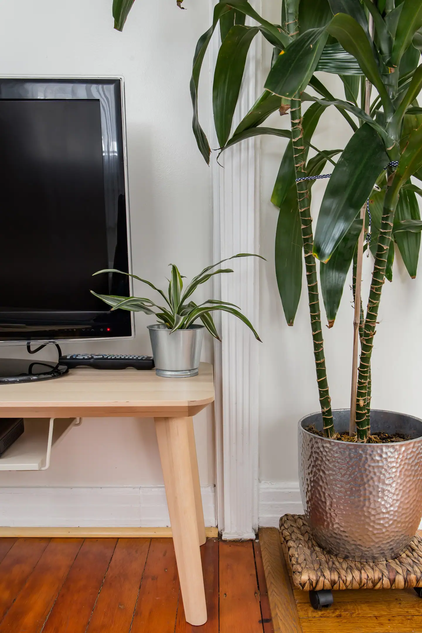 Boho Dream Come True in Koreatown