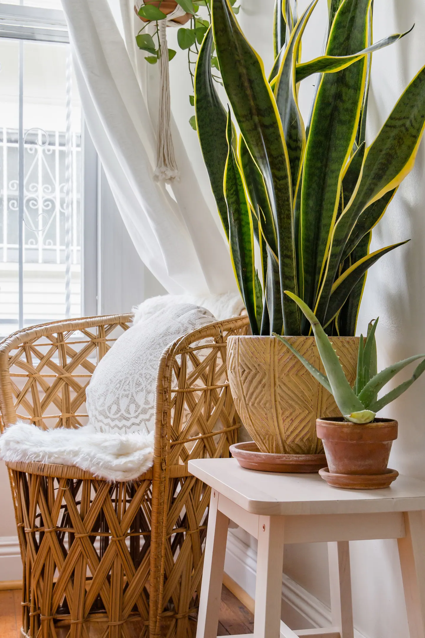 Boho Dream Come True in Koreatown