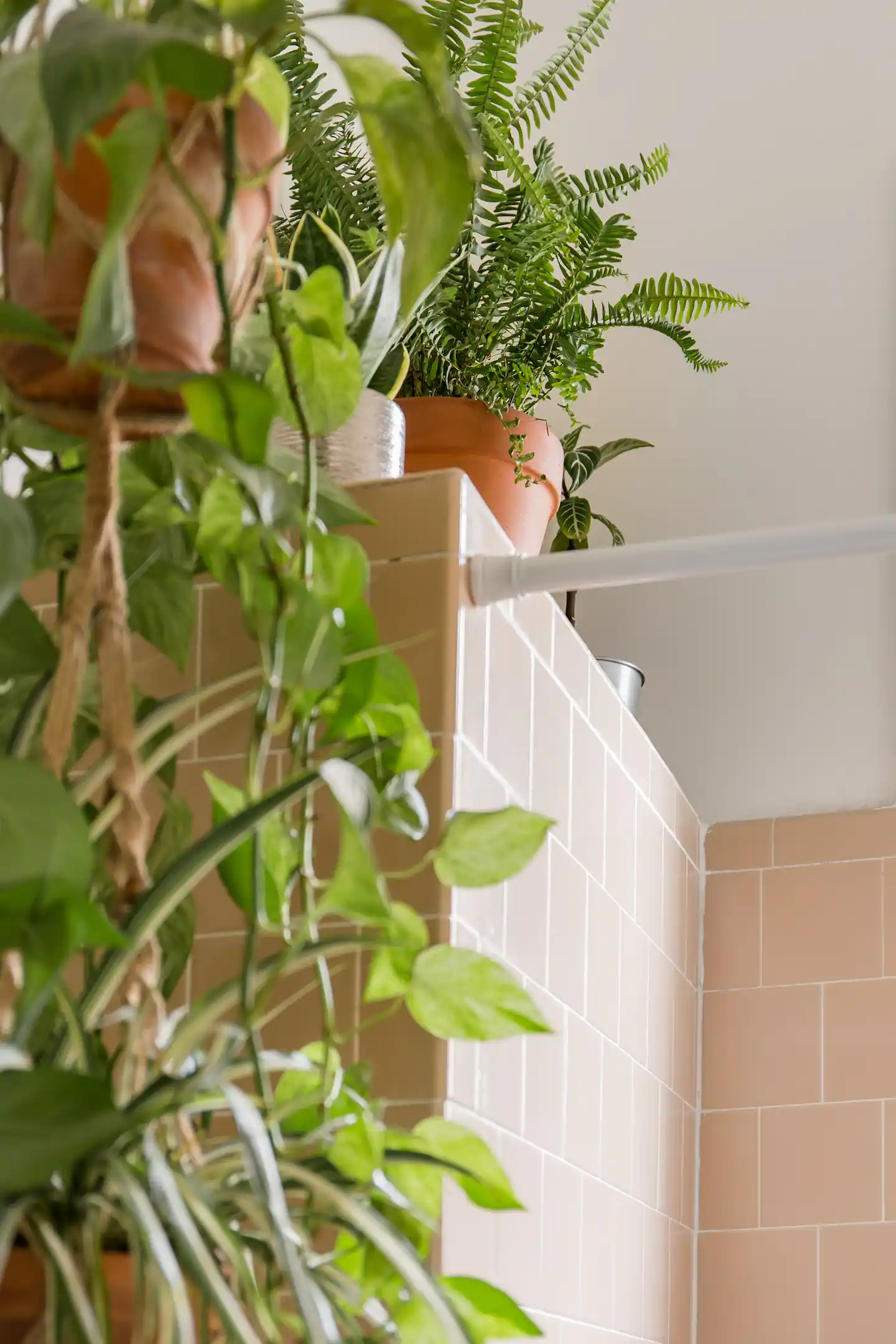 Boho Dream Come True in Koreatown