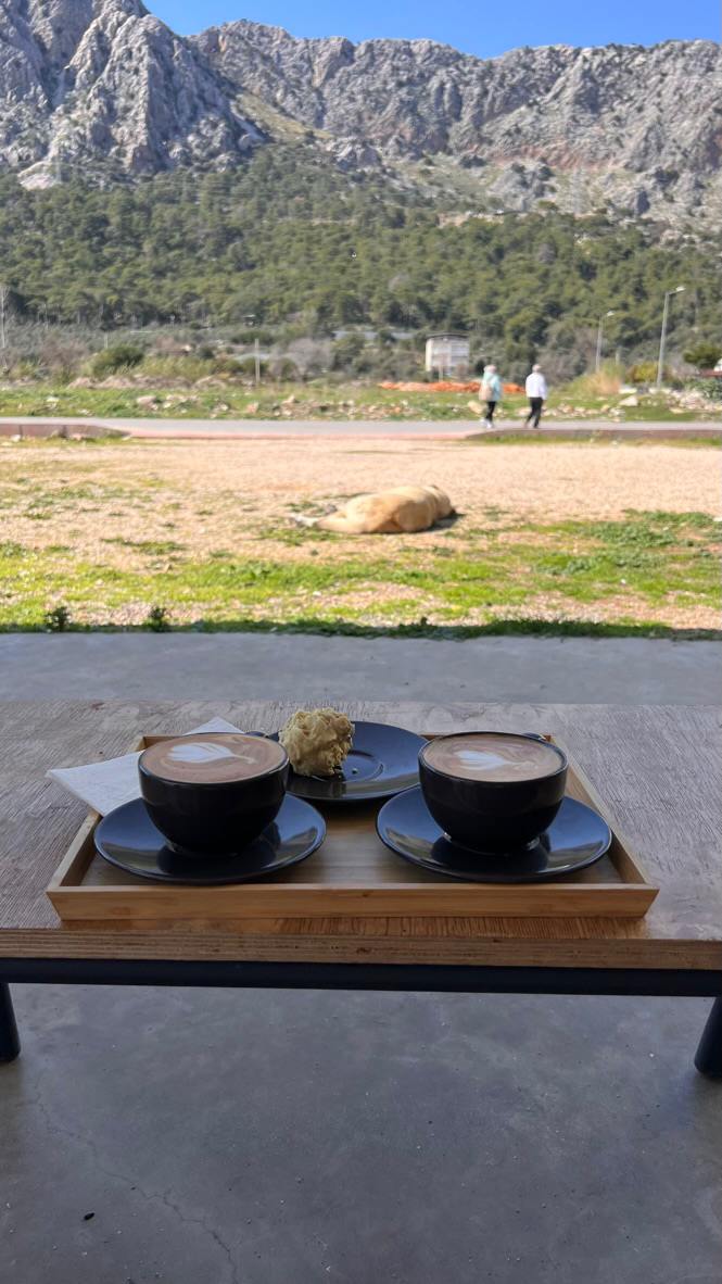 Incommon Coffee Roasters By Homestead