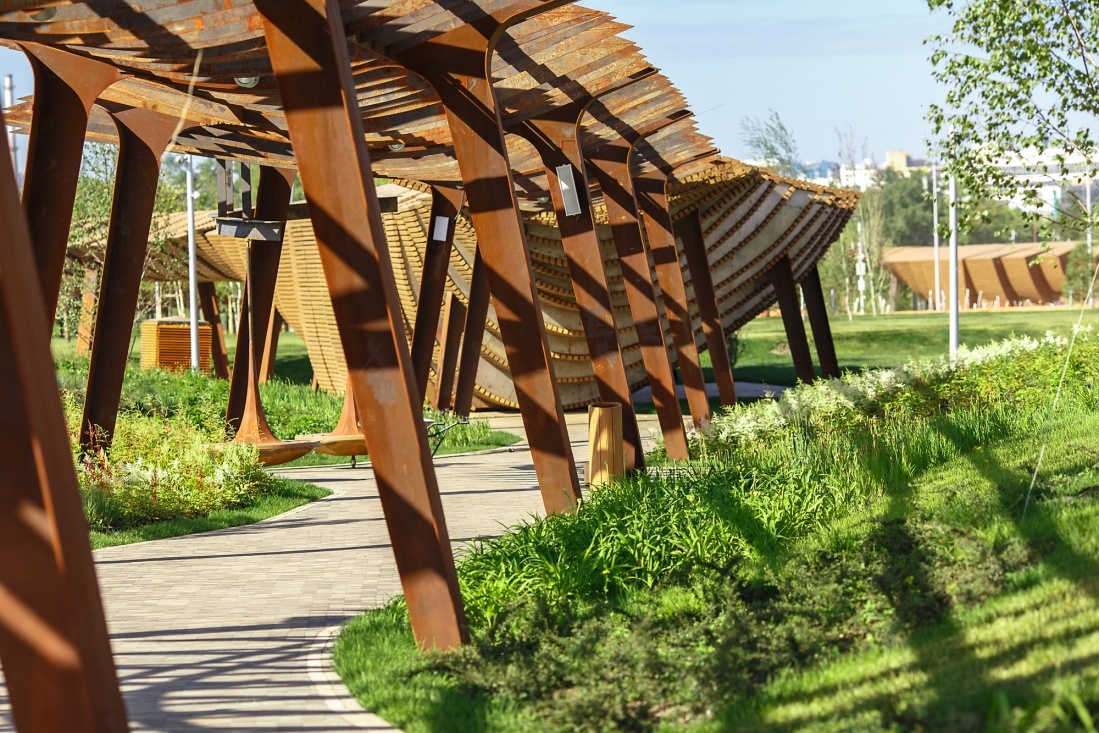 Тюфелева роща